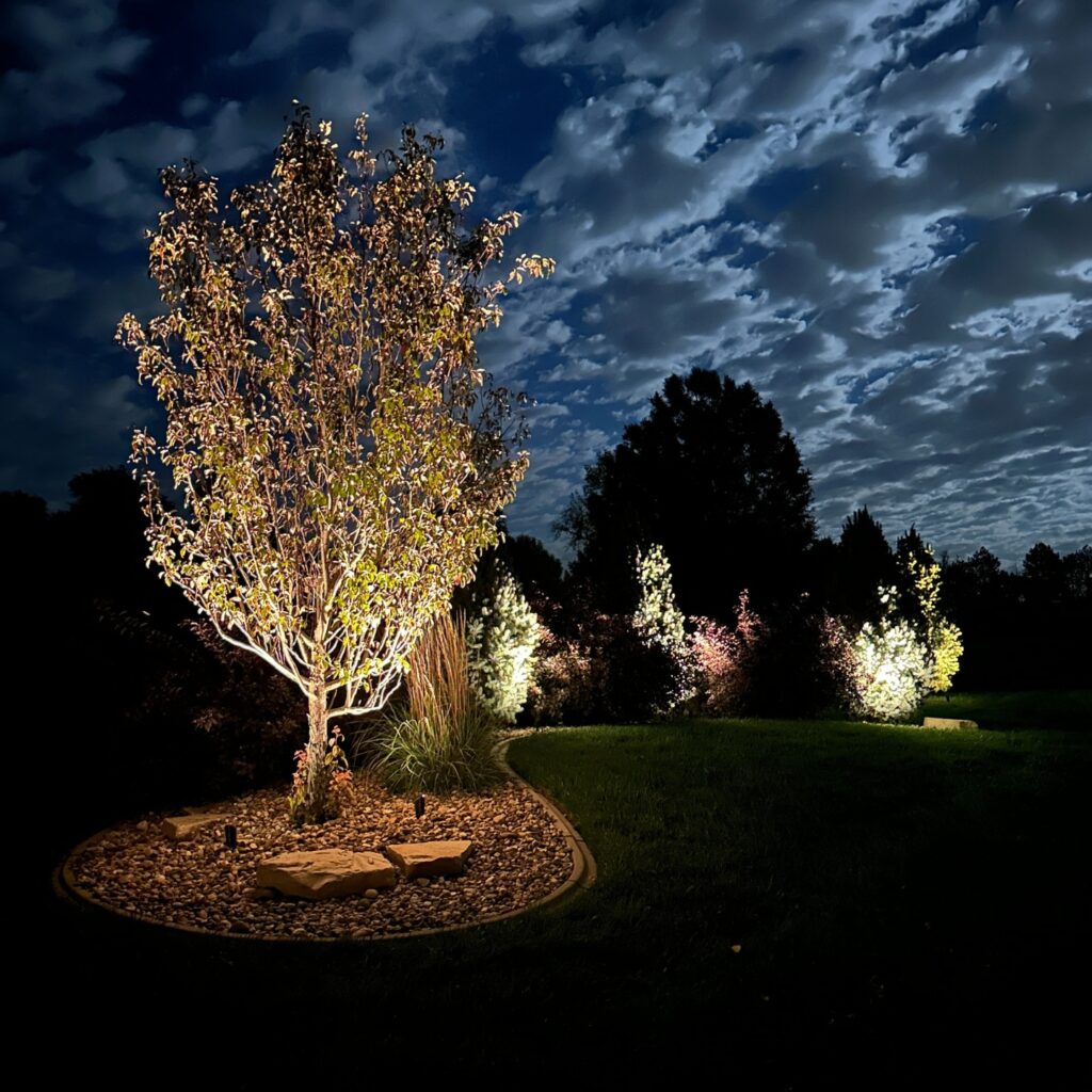 Landscape uplighting illuminating trees and shrubs in a residential yard at night